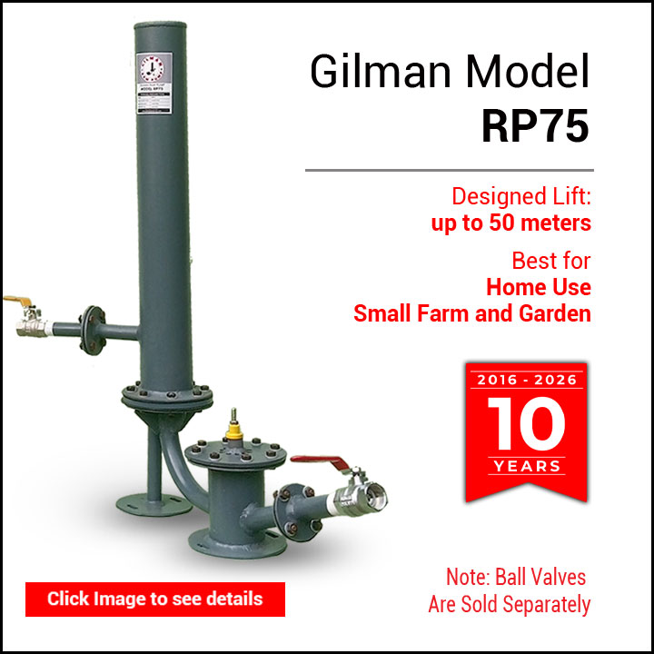 Gilman RP75 Standard Heavy Duty Pump